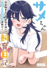 Cover 97696