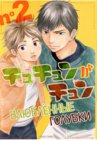 Cover 97958