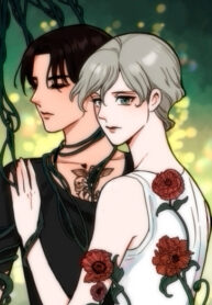 Cover 98698