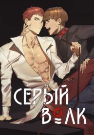 Cover 98785