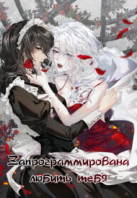 Cover 99024