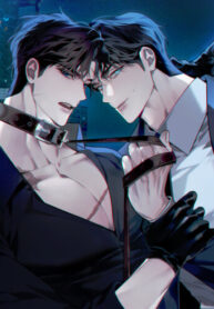 Cover 99606